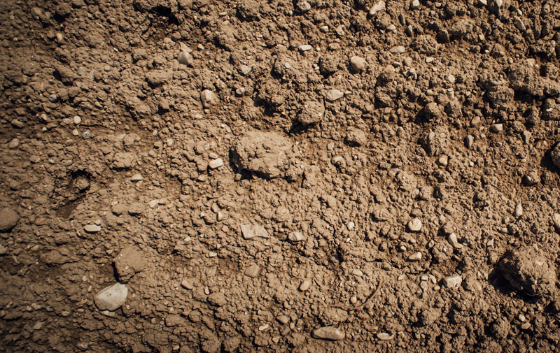 Close up of common fill dirt